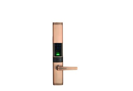 智能指纹门锁TL200